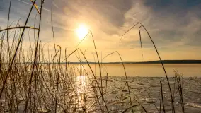 Zimowe jezioro Gołdopiwo w okolicach Przerwanek, styczeń 2024 r. - zdjęcie 20