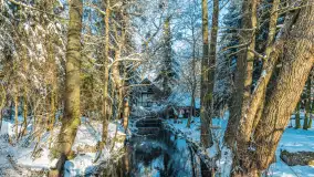 Zima nad rzeką Dajna, witajcie na bajecznych Mazurach, styczeń 2024 r. - zdjęcie 18