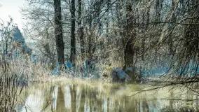 Zima nad rzeką Dajna, witajcie na bajecznych Mazurach, styczeń 2024 r. - zdjęcie 9