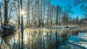 Zima nad rzeką Dajna, witajcie na bajecznych Mazurach, styczeń 2024 r. - zdjęcie 1