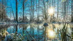 Zima nad rzeką Dajna, witajcie na bajecznych Mazurach, styczeń 2024 r. - zdjęcie 37