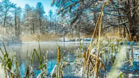 Zima nad rzeką Dajna, witajcie na bajecznych Mazurach, styczeń 2024 r. - zdjęcie 17