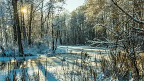 Zima nad rzeką Dajna, witajcie na bajecznych Mazurach, styczeń 2024 r. - zdjęcie 2