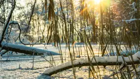 Zima nad rzeką Dajna, witajcie na bajecznych Mazurach, styczeń 2024 r. - zdjęcie 23