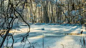 Zima nad rzeką Dajna, witajcie na bajecznych Mazurach, styczeń 2024 r. - zdjęcie 33