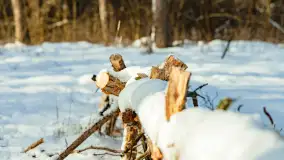 Biwak ekipy Mazury24 nad jeziorem Kruklin, styczeń 2024 r. - zdjęcie 14