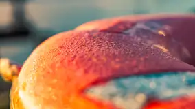 Wschód słońca w Bocianim Gnieździe, czerwiec 2023 r. - zdjęcie 30