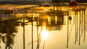 Wschód słońca w Bocianim Gnieździe, czerwiec 2023 r. - zdjęcie 17