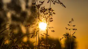 Wschód słońca w Bocianim Gnieździe, czerwiec 2023 r. - zdjęcie 24