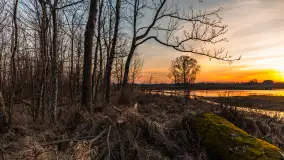 Mazurski zachód słońca odbity w rozlewiskach, luty 2024 r. - zdjęcie 6