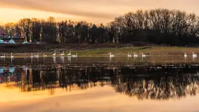 Zachód i rozlewiska przy Karolewie, luty 2024 r. - zdjęcie 5