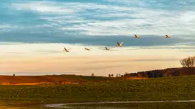 Zachód i rozlewiska przy Karolewie, luty 2024 r. - zdjęcie 7