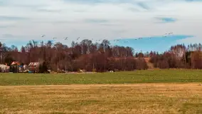 Zachód i rozlewiska przy Karolewie, luty 2024 r. - zdjęcie 34