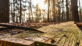 Wschód słońca nad jeziorem Wydmińskim, luty 2024 r. - zdjęcie 39