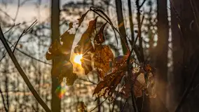 Wschód słońca nad jeziorem Wydmińskim, luty 2024 r. - zdjęcie 24