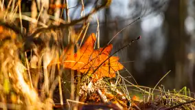 Wschód słońca nad jeziorem Wydmińskim, luty 2024 r. - zdjęcie 9