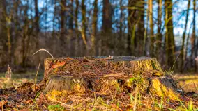 Wschód słońca nad jeziorem Wydmińskim, luty 2024 r. - zdjęcie 38