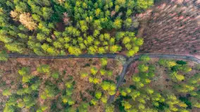 Wschód słońca nad jeziorem Wydmińskim, luty 2024 r. - zdjęcie 30