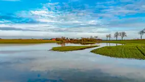 Przedwiośnie i mazurskie rozlewiska na polach i łąkach, luty 2024 r. - zdjęcie 1