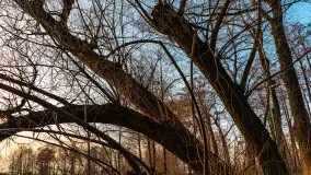 Zachód słońca nad Niegocinem, luty 2024 r. - zdjęcie 29