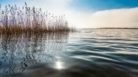 Mgliste Mazury, luty 2024 r. - zdjęcie 34