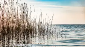 Mgliste Mazury, luty 2024 r. - zdjęcie 24