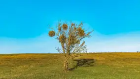 Przed zachodem słońca nad jeziorem Grajewko, luty 2024 r. - zdjęcie 17