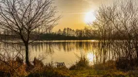 Przed zachodem słońca nad jeziorem Grajewko, luty 2024 r. - zdjęcie 34