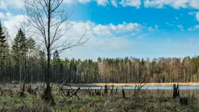 Jezioro Jagoczany, przedwiośnie, marzec 2024 r.  - zdjęcie 12