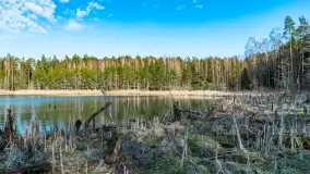 Jezioro Jagoczany, przedwiośnie, marzec 2024 r.  - zdjęcie 35