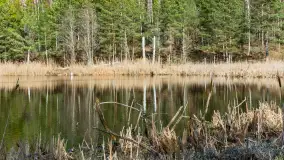 Jezioro Jagoczany, przedwiośnie, marzec 2024 r.  - zdjęcie 17