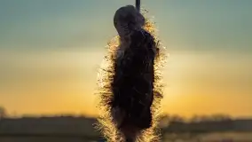 Zachód słońca nad stawami w Martianach, marzec 2024 r. - zdjęcie 35