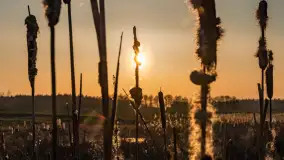 Zachód słońca nad stawami w Martianach, marzec 2024 r. - zdjęcie 20