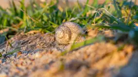 Zachód słońca nad stawami w Martianach, marzec 2024 r. - zdjęcie 9