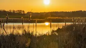 Zachód słońca nad stawami w Martianach, marzec 2024 r. - zdjęcie 1