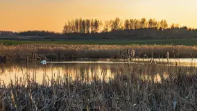 Zachód słońca nad stawami w Martianach, marzec 2024 r. - zdjęcie 2