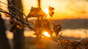 Zachód słońca nad stawami w Martianach, marzec 2024 r. - zdjęcie 32