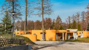 Przedwiośnie w Strandzie w Giżycku, luty 2024 r. - zdjęcie 37