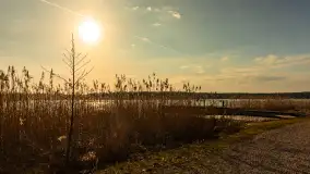 Przedwiośnie w Strandzie w Giżycku, luty 2024 r. - zdjęcie 47