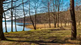 Marcowy dzień nad zatoką Skonał - zdjęcie 11