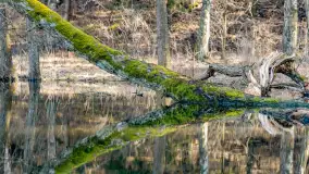 Marcowy dzień nad zatoką Skonał - zdjęcie 24