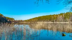 Marcowy dzień nad zatoką Skonał - zdjęcie 12
