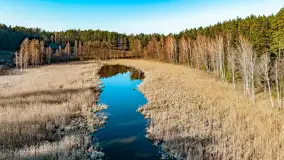 Marcowy dzień nad zatoką Skonał - zdjęcie 61
