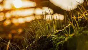 Zachód słońca nad Mazurskimi polami, Wopławki, marzec 2024 r. - zdjęcie 22