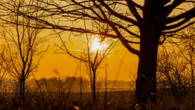 Zachód słońca nad Mazurskimi polami, Wopławki, marzec 2024 r. - zdjęcie 8