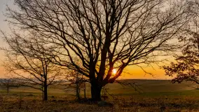 Zachód słońca nad Mazurskimi polami, Wopławki, marzec 2024 r. - zdjęcie 16