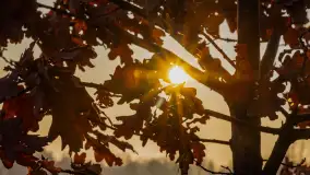 Zachód słońca nad Mazurskimi polami, Wopławki, marzec 2024 r. - zdjęcie 13