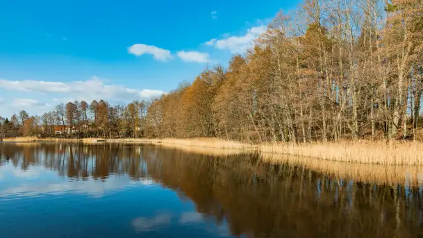Jezioro Czarna Kuta i okolice, początek marca 2024 r. - zdjęcie 2
