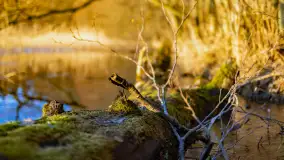 Zachód słońca w zatoce Skonał, nad jeziorem Tałty, marzec 2024 r. - zdjęcie 9