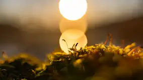 Zachód słońca w zatoce Skonał, nad jeziorem Tałty, marzec 2024 r. - zdjęcie 20